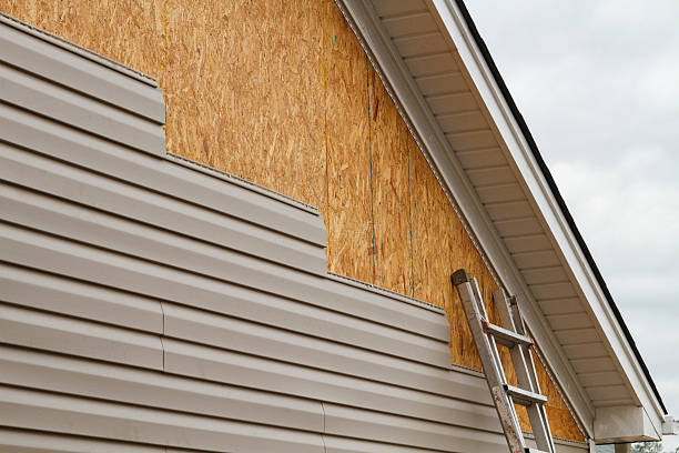 Professional Siding Inspection technician working in Brandon, FL